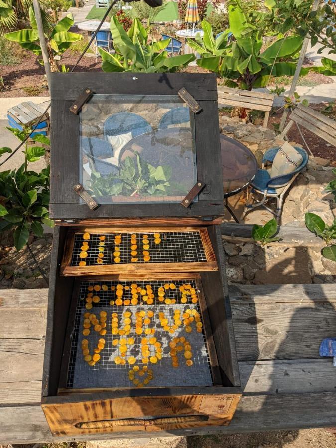 Pensjonat Eco Camping Nueva Vida Chío Zewnętrze zdjęcie